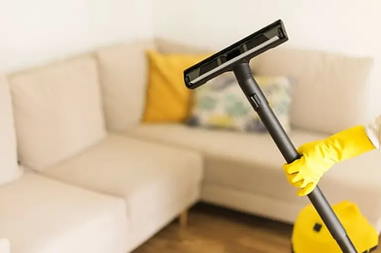 Standard Cleaning